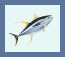 Pagan Tuna